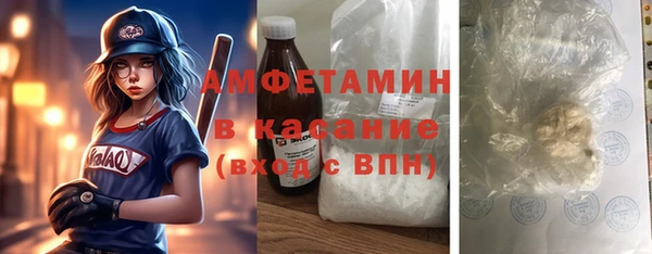 трава Белокуриха