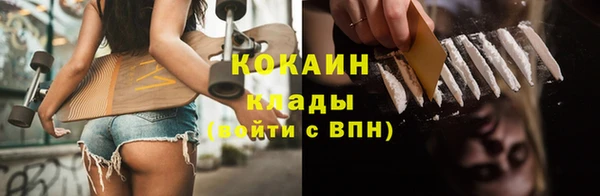 трава Белокуриха