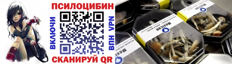 Псилоцибиновые грибы Psilocybe  как найти закладки  Екатеринбург 